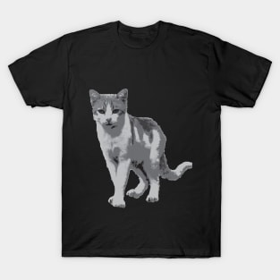 Grey room tiger T-Shirt
